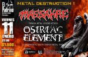 11 de Enero: Metal DestructionI