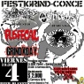 4 de Enero: Festgrind Conce