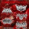 2 de Febrero: Summer Metal Fest