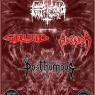 29 de Noviembre: Brutal Devastation