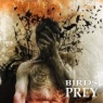 Birds of Prey graba video clip