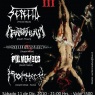 11 de Diciembre: Rotten Metal Fest III