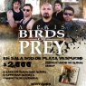 11 de Marzo: Birds of Prey, Enigma y SteelRage