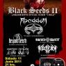 11 de Junio: Black Seeds II