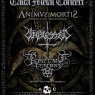21 de Abril: Talca Metal Concert