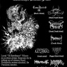 18 de Agosto: Estribazo Metal Fest